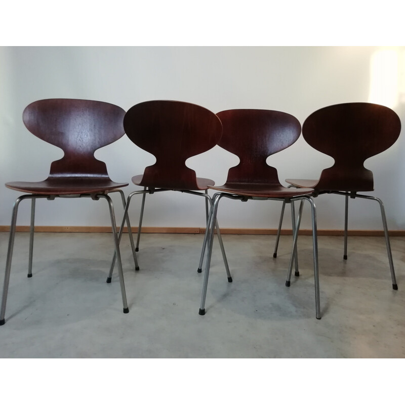 Satz von 4 Vintage-Stühlen aus Teakholz Modell 3101 Von Arne Jacobsen für Fritz Hansen, 1950