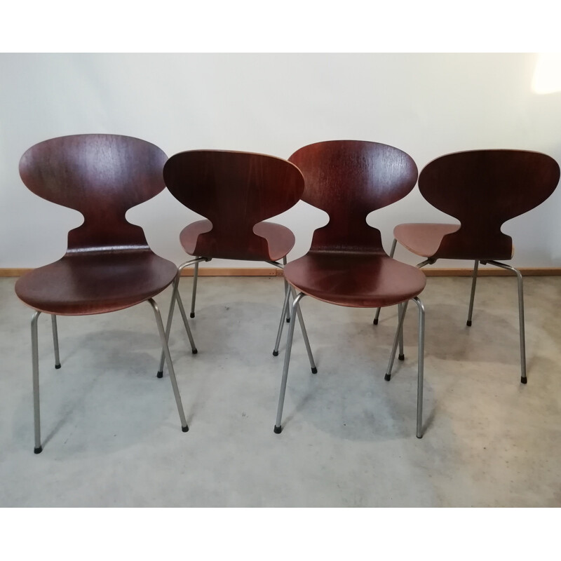 Set of 4 vintage teak chairs model 3101 By Arne Jacobsen for Fritz Hansen, 1950