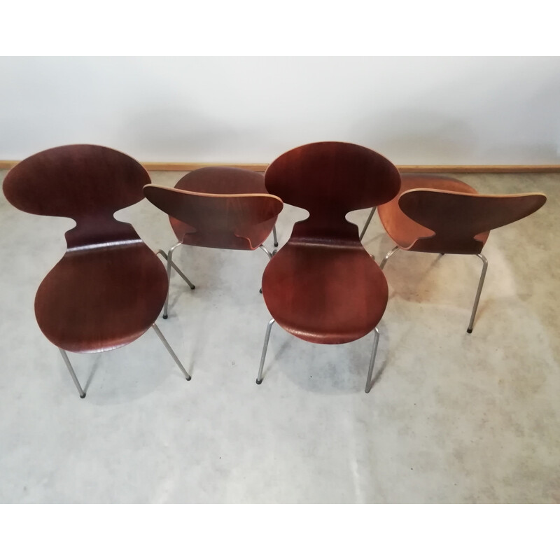 Set of 4 vintage teak chairs model 3101 By Arne Jacobsen for Fritz Hansen, 1950