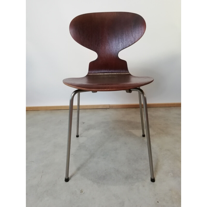 Juego de 4 sillas vintage de teca modelo 3101 de Arne Jacobsen para Fritz Hansen, 1950