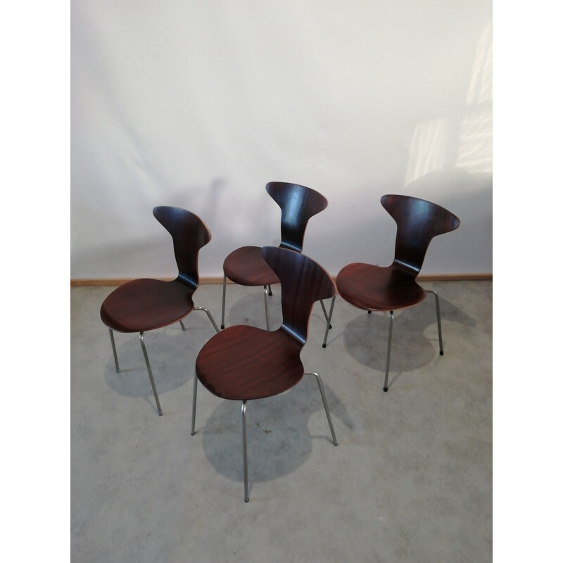 Set of 4 vintage mosquito chairs no 3105 myggen By Arne Jacobsen for Fritz Hansen, Denmark 1950