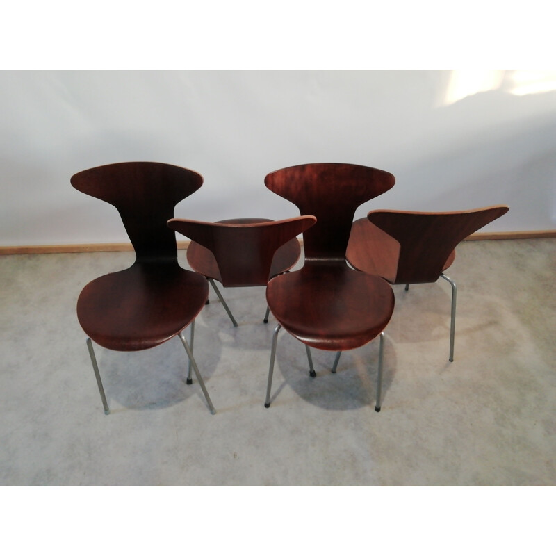Ensemble de 4 chaises vintage moustique no 3105 myggen Par Arne Jacobsen pour Fritz Hansen, Danemark 1950