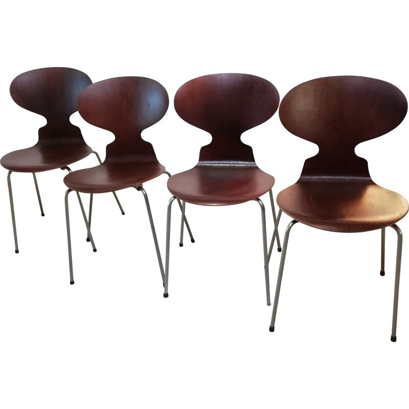 Juego de 4 sillas vintage de teca modelo 3101 de Arne Jacobsen para Fritz Hansen, 1950