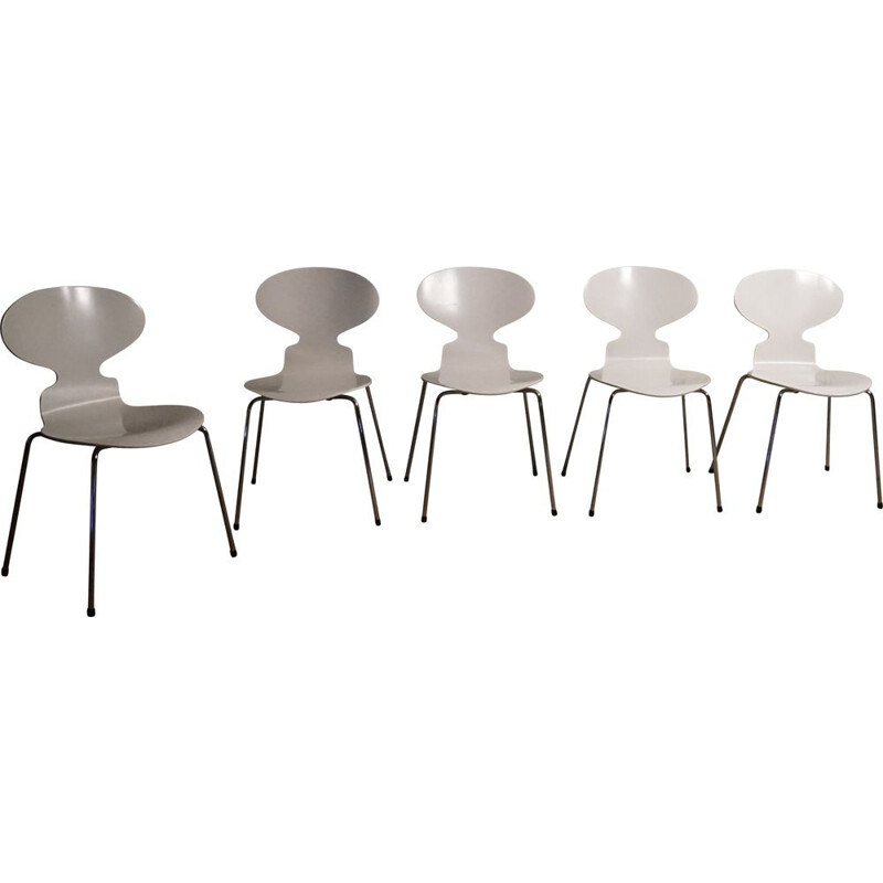 Ensemble de 5 chaises fourmi vintage par Arne Jacobsen pour Fritz Hansen, 1950s