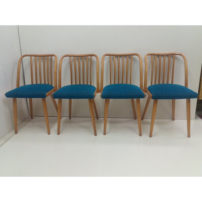 Conjunto de 4 cadeiras de madeira de faia de Antonín Särmuman para Ton Bystřice pod Hostýnem, Checoslováquia 1960