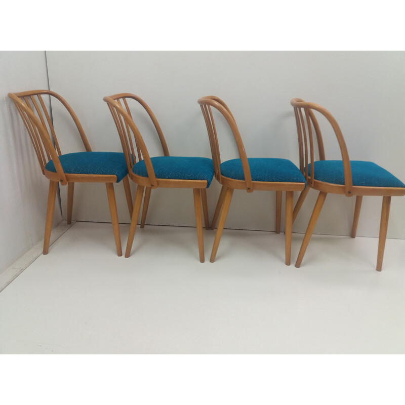 Conjunto de 4 cadeiras de madeira de faia de Antonín Särmuman para Ton Bystřice pod Hostýnem, Checoslováquia 1960