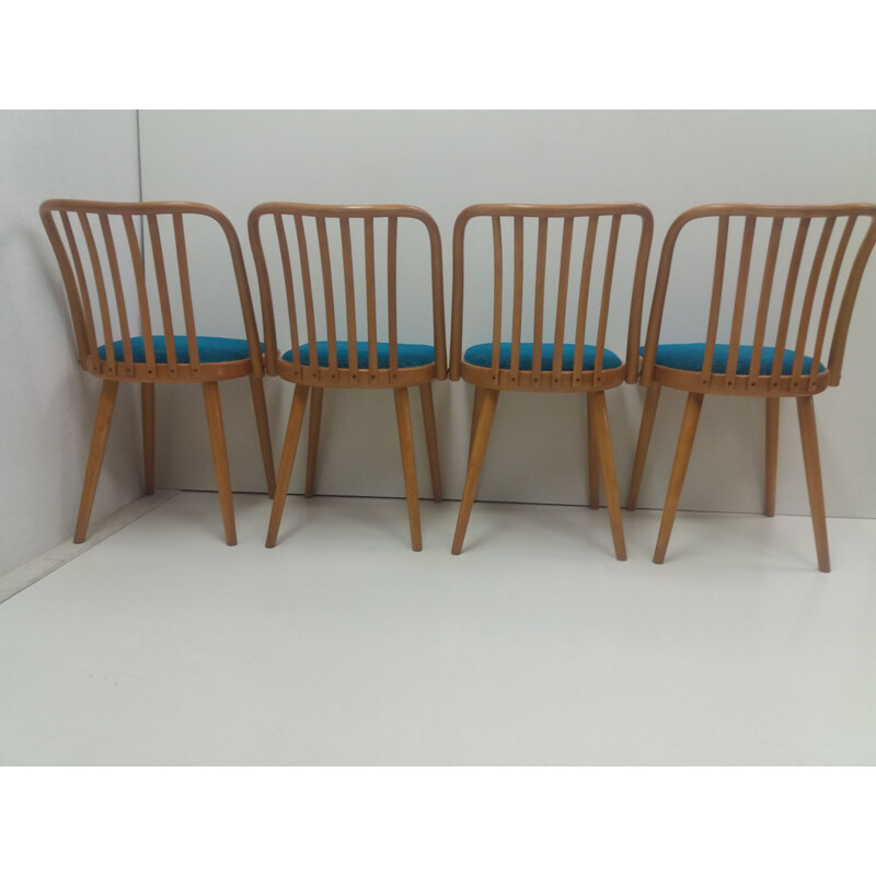 Set of 4 vintage beechwood chairs by Antonín Šuman for Ton Bystřice pod Hostýnem, Czechoslovakia 1960