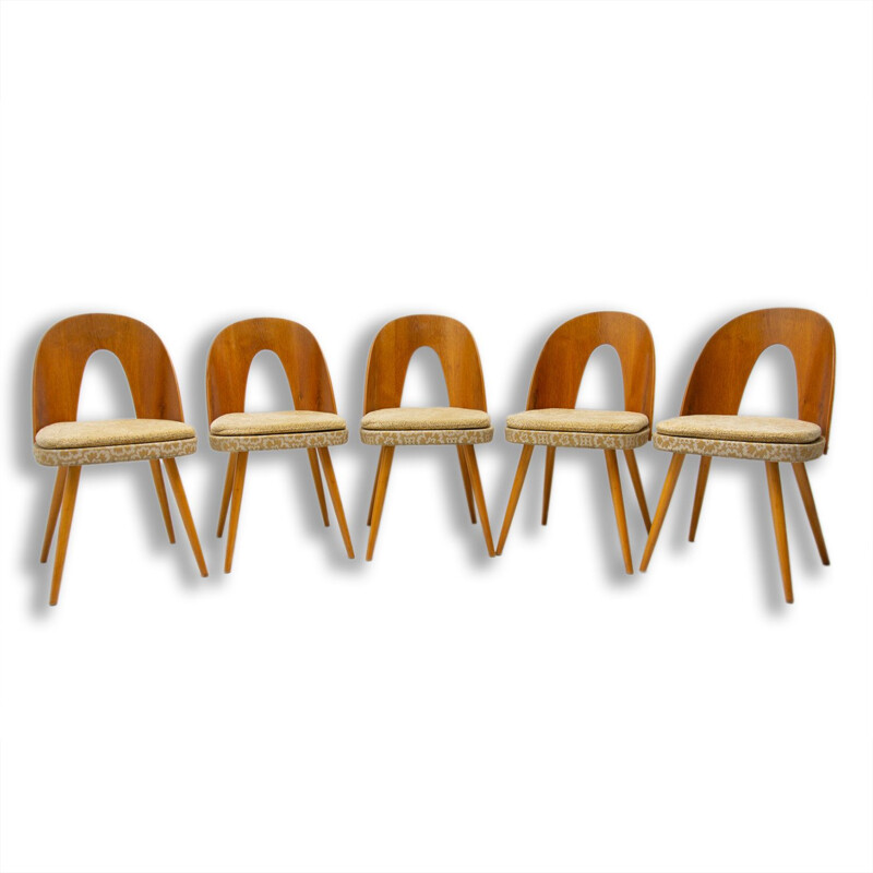 Set of 5 mid century dinning chairs by Antonín Šuman for Tatra Nábytok, Czechoslovakia 1960s