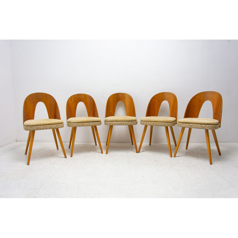 Ensemble de 5 chaises vintage par Antonín Šuman pour Tatra Nábytok, Tchécoslovaquie 1960