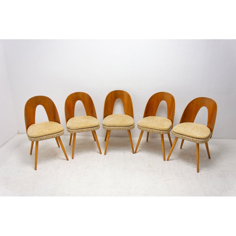 Set of 5 mid century dinning chairs by Antonín Šuman for Tatra Nábytok, Czechoslovakia 1960s