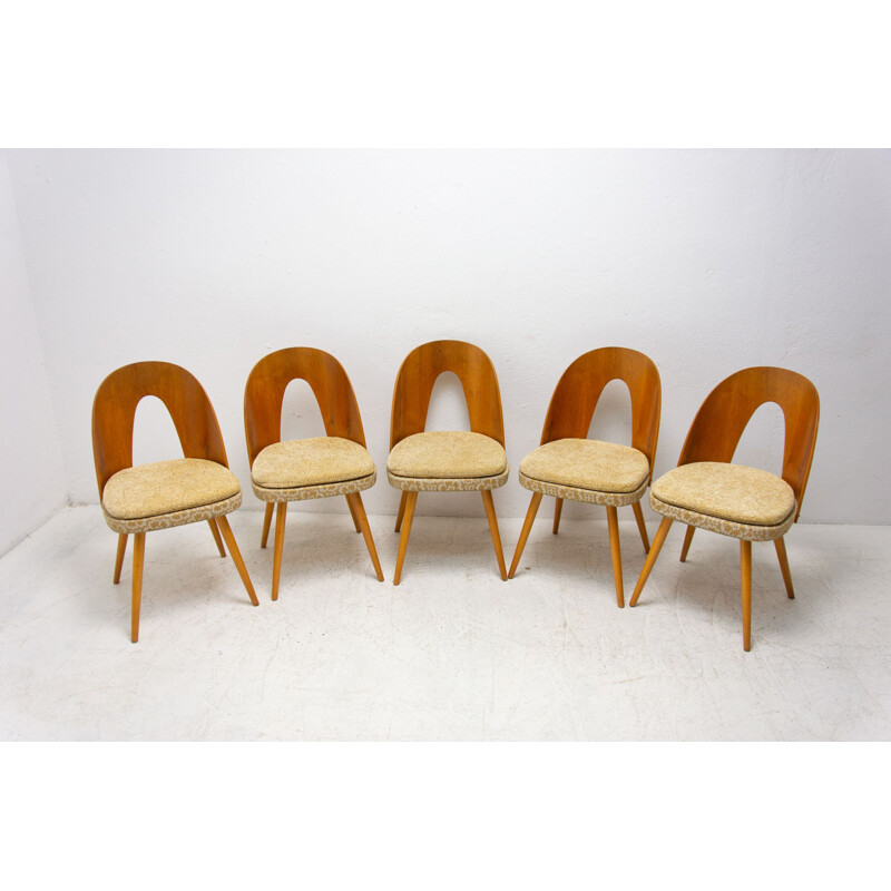 Satz von 5 Vintage-Stühlen von Antonín Šuman für Tatra Nábytok, Tschechoslowakei 1960