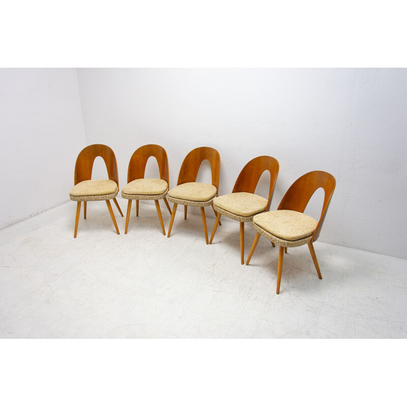 Set of 5 mid century dinning chairs by Antonín Šuman for Tatra Nábytok, Czechoslovakia 1960s