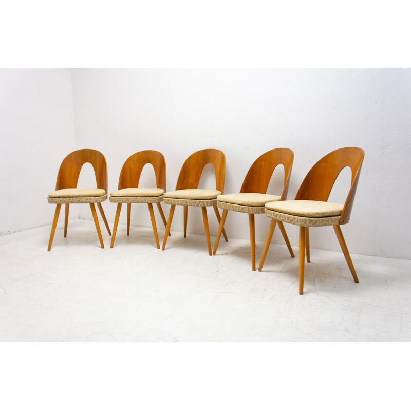 Set of 5 mid century dinning chairs by Antonín Šuman for Tatra Nábytok, Czechoslovakia 1960s