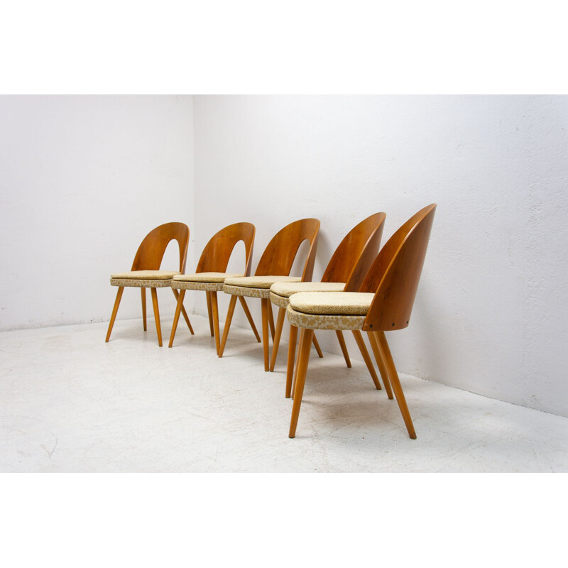 Ensemble de 5 chaises vintage par Antonín Šuman pour Tatra Nábytok, Tchécoslovaquie 1960