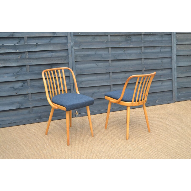 Set of 4 vintage chairs by Antonin Suman for Jitona