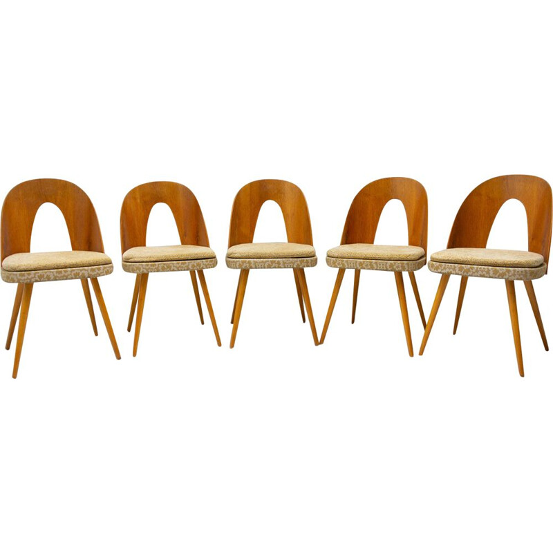 Ensemble de 5 chaises vintage par Antonín Šuman pour Tatra Nábytok, Tchécoslovaquie 1960