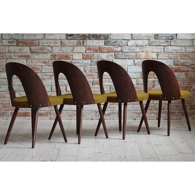 Set of 4 mid century dining chairs by A. Šuman, Czechoslovakia 1960s