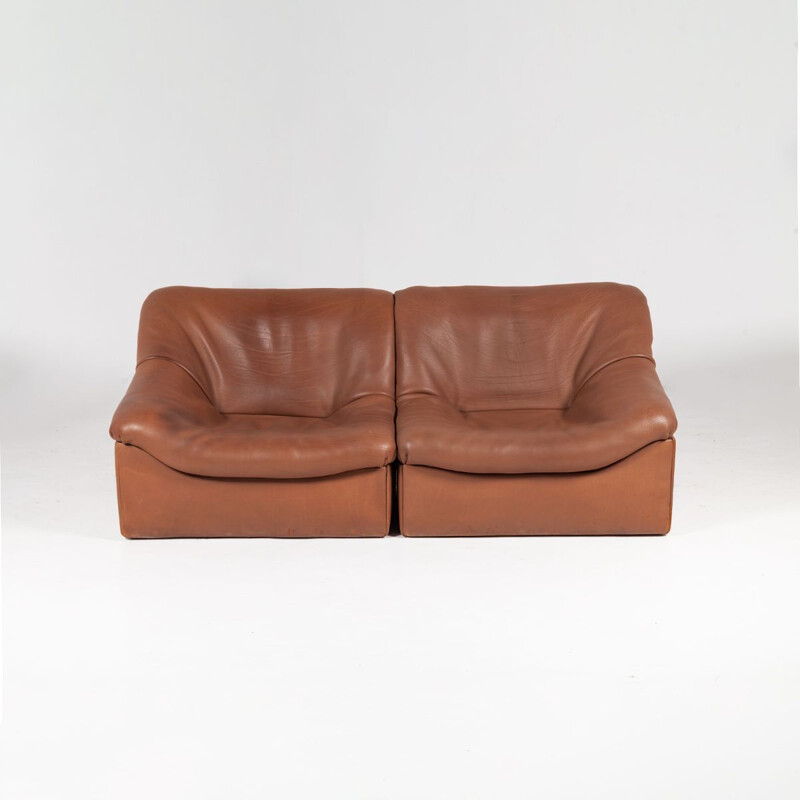 Modulares Vintage 2-Sitzer-Sofa DS-46 aus Büffelleder von De Sede, 1970