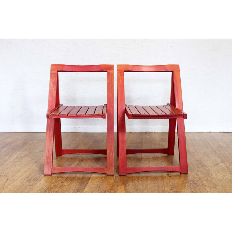 Pair of vintage folding chairs by Aldo Jacober, 1960s