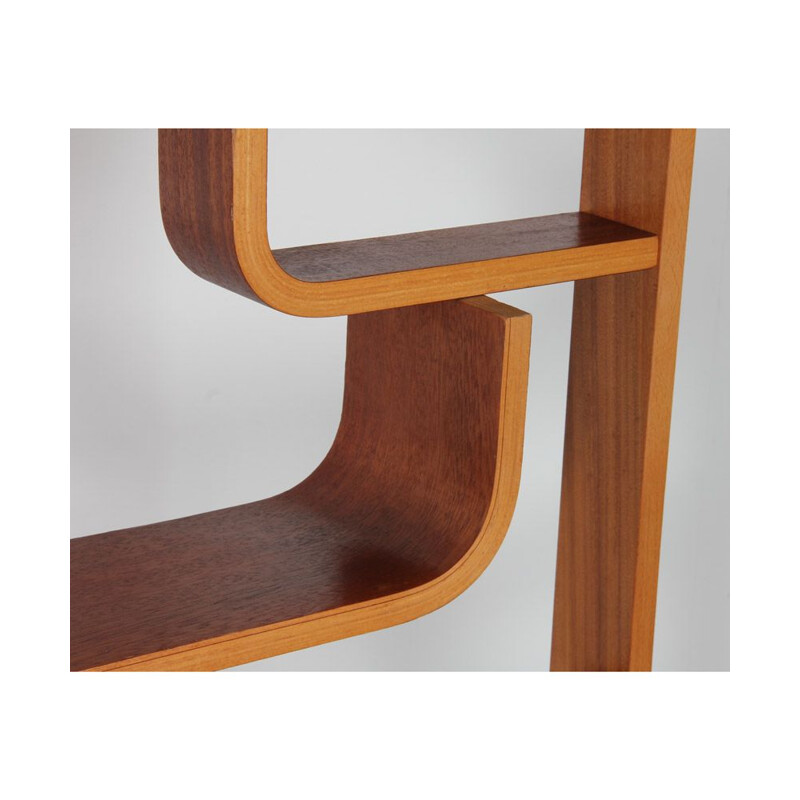 Vintage mahogany railing by Ludvik Volak for Drevopodnik Holesov, 1960s