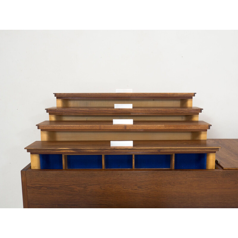 Vintage DR 83 rosewood sideboard by Cees Braakman for Pastoe, Netherlands