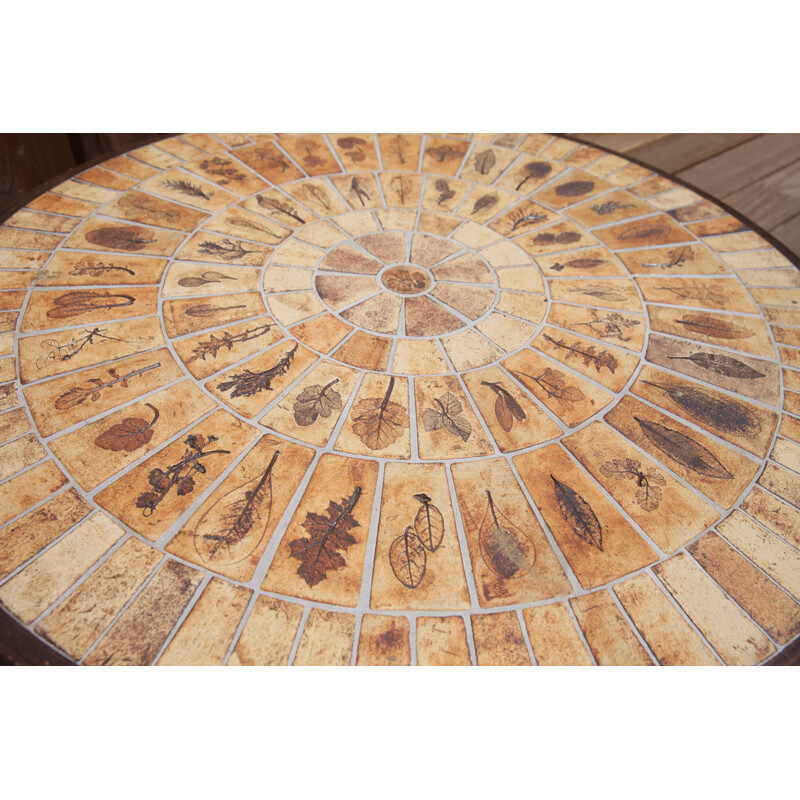 Vintage herbarium coffee table by Roger Capron