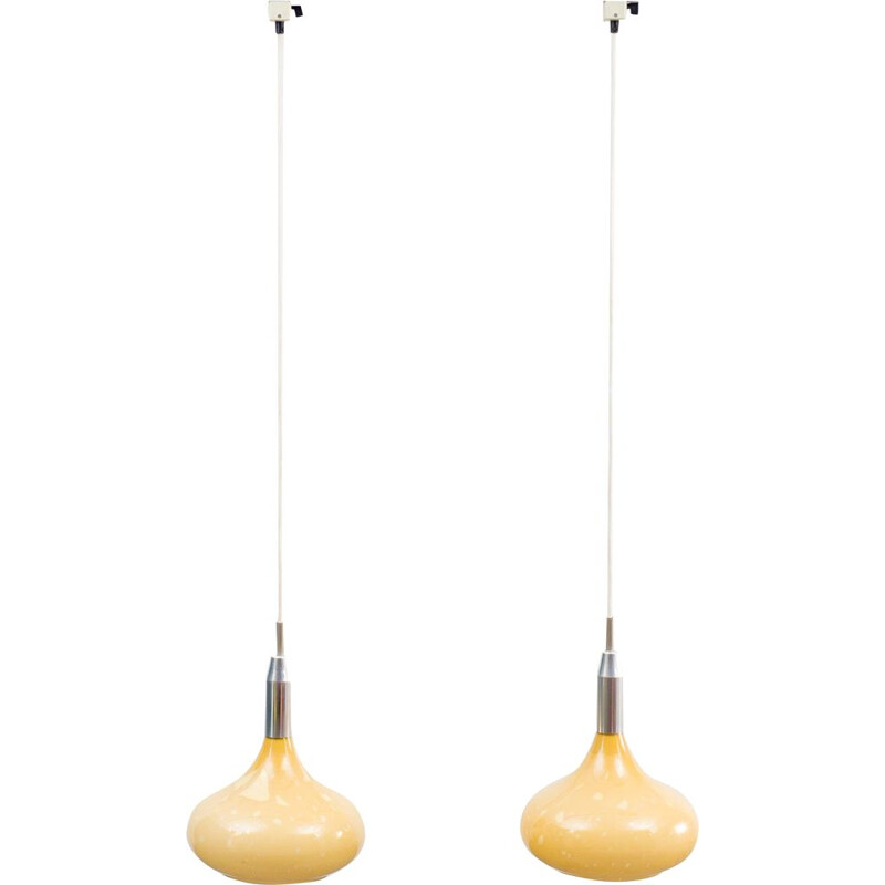 Pair of vintage Erco rail system pendand lamp, 1960s