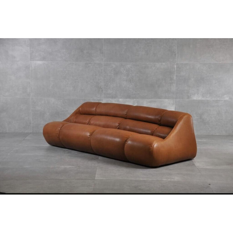 Vintage leather sofa by Jonathan de Pas, Donato d'Urbino and Paolo Lomazzi for BBB Bonacina, Italy 1967