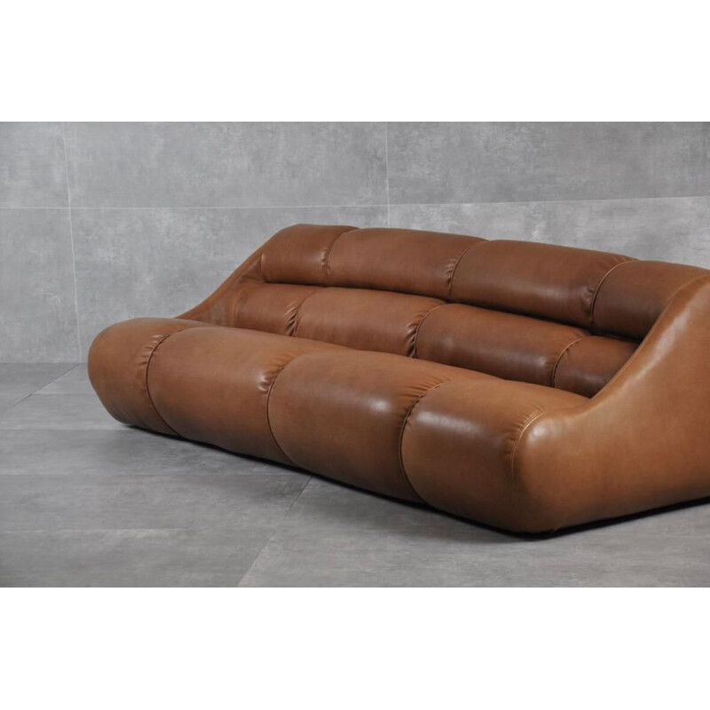 Vintage leather sofa by Jonathan de Pas, Donato d'Urbino and Paolo Lomazzi for BBB Bonacina, Italy 1967