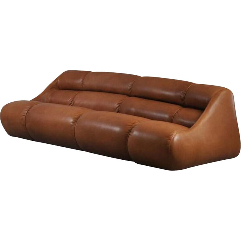 Vintage leather sofa by Jonathan de Pas, Donato d'Urbino and Paolo Lomazzi for BBB Bonacina, Italy 1967