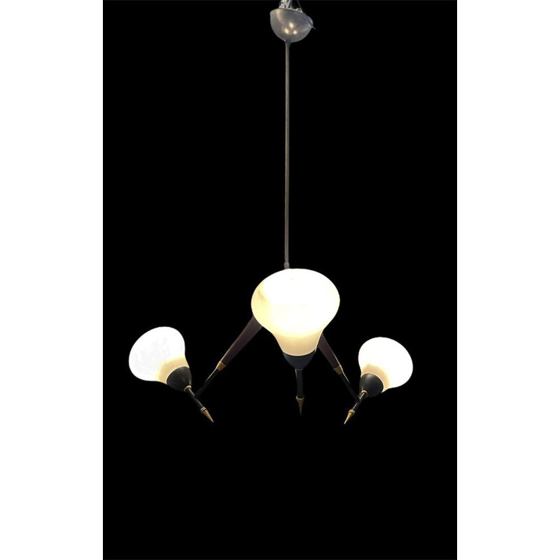 Mid century opaline glass & wood veneer chandelier, 1950s