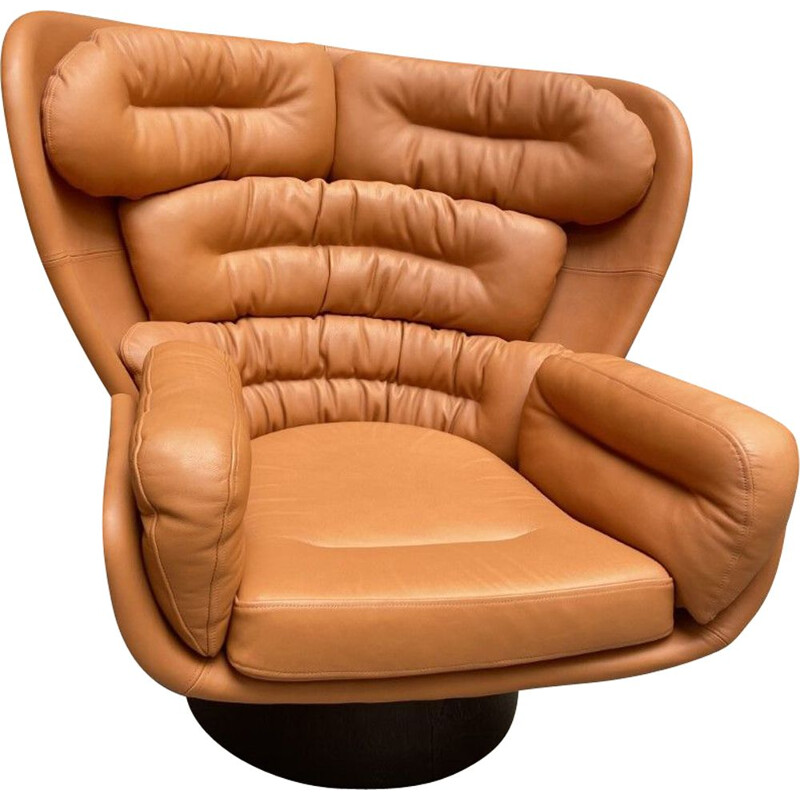 Vintage Elda leather armchair by Joe Colombo, 1960s