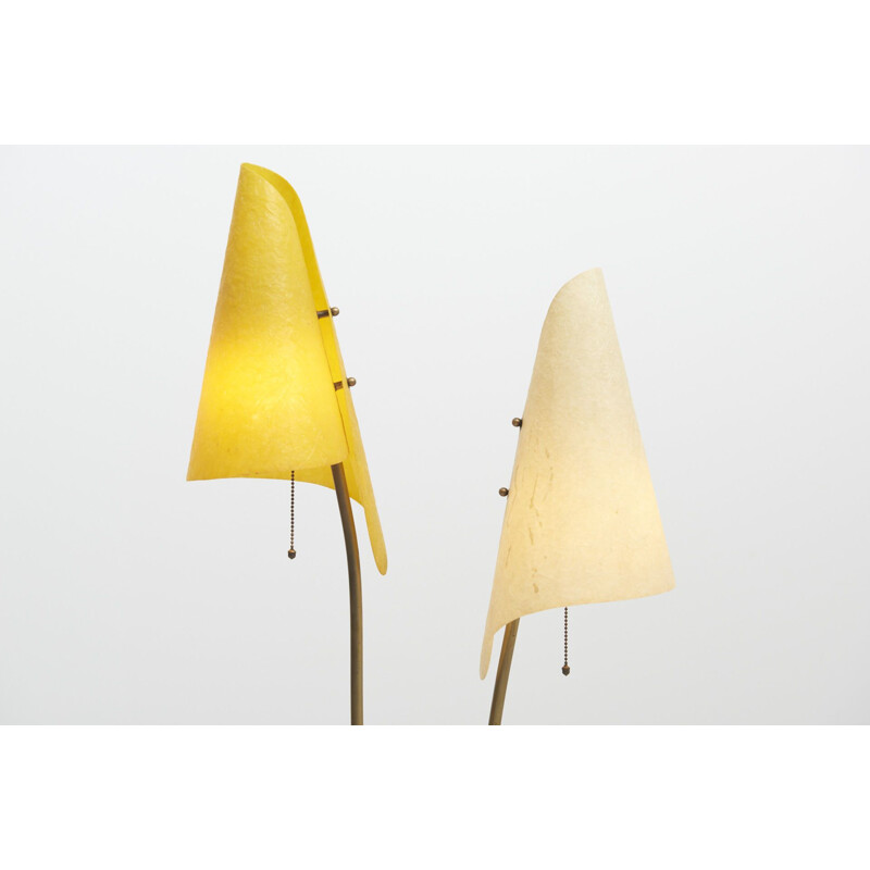 Mid century floor lamp with 2 lampshades, 1950s