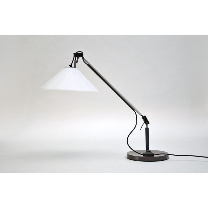 Lampe de bureau vintage par Enzo Mari et Giancarlo Fassina pour Artemide, 1974