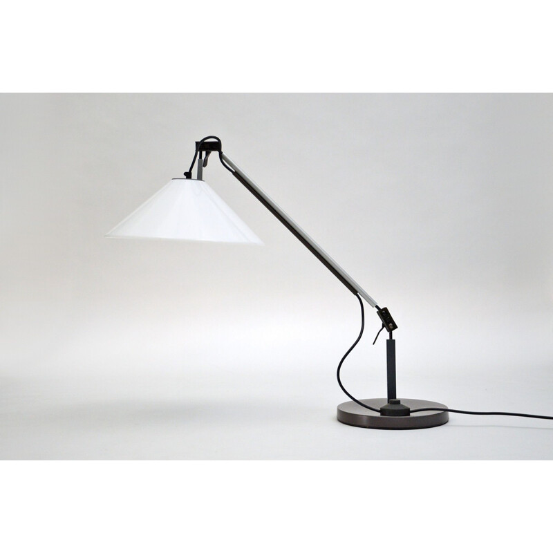 Vintage desk lamp by Enzo Mari and Giancarlo Fassina for Artemide, 1974