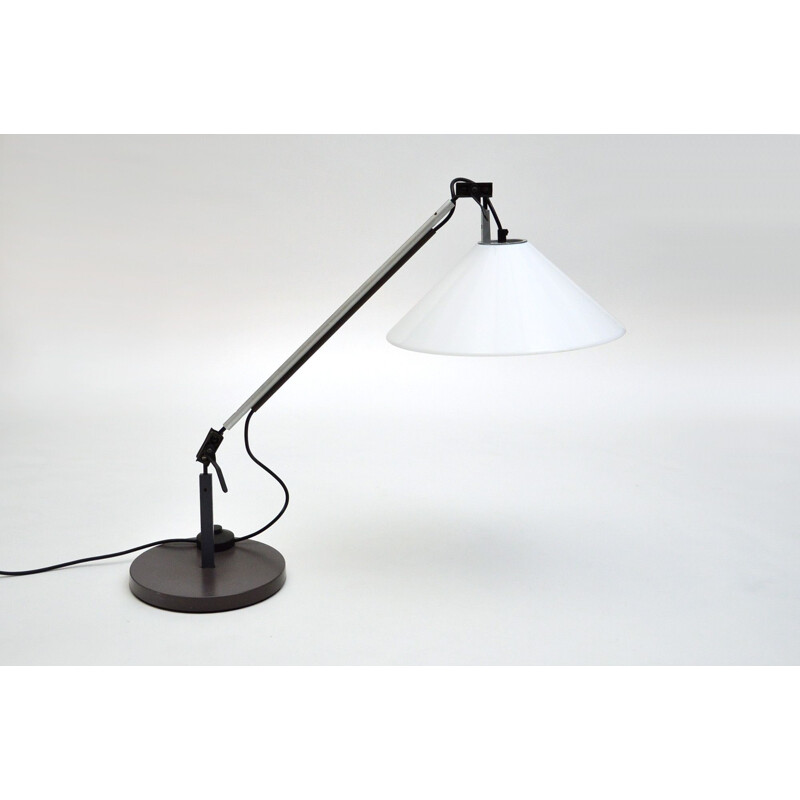 Vintage desk lamp by Enzo Mari and Giancarlo Fassina for Artemide, 1974