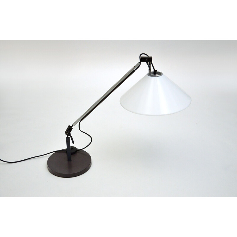 Vintage desk lamp by Enzo Mari and Giancarlo Fassina for Artemide, 1974