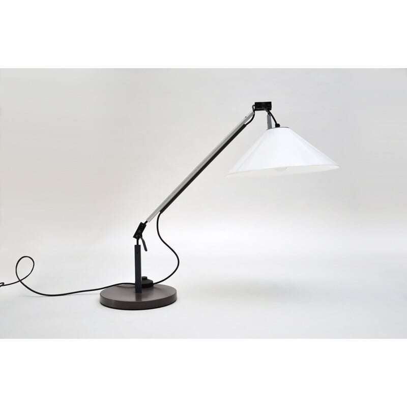 Vintage desk lamp by Enzo Mari and Giancarlo Fassina for Artemide, 1974