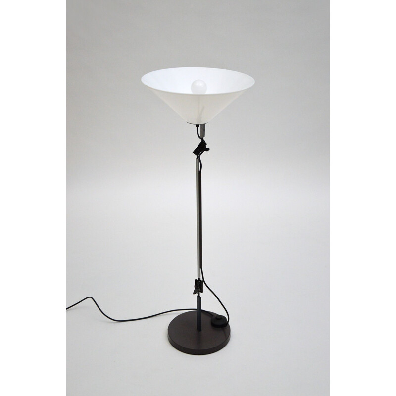 Vintage desk lamp by Enzo Mari and Giancarlo Fassina for Artemide, 1974