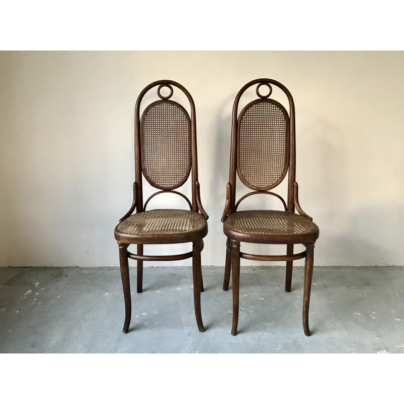 Paar vintage stoelen van gebogen hout en riet van Thonet, 1920