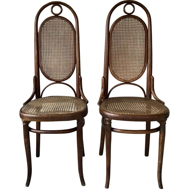 Coppia di sedie vintage in legno curvato e canna di Thonet, 1920