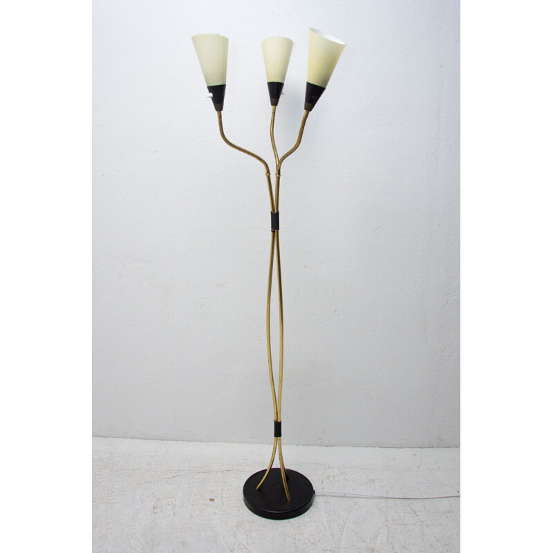 Vintage verstelbare zwanenhals vloerlamp, 1960