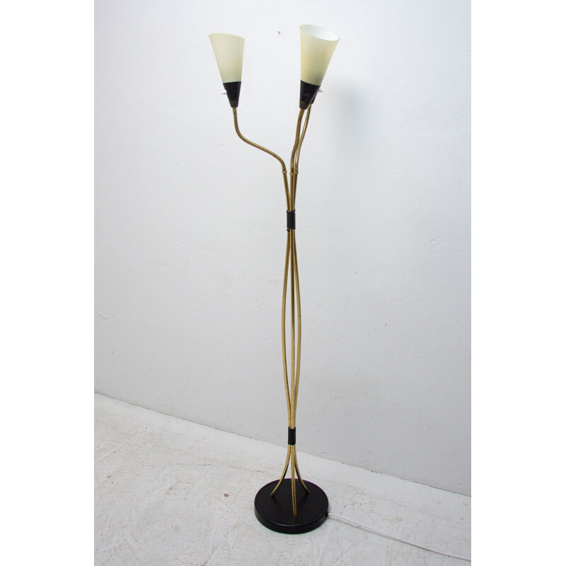 Vintage adjustable gooseneck floor lamp, 1960