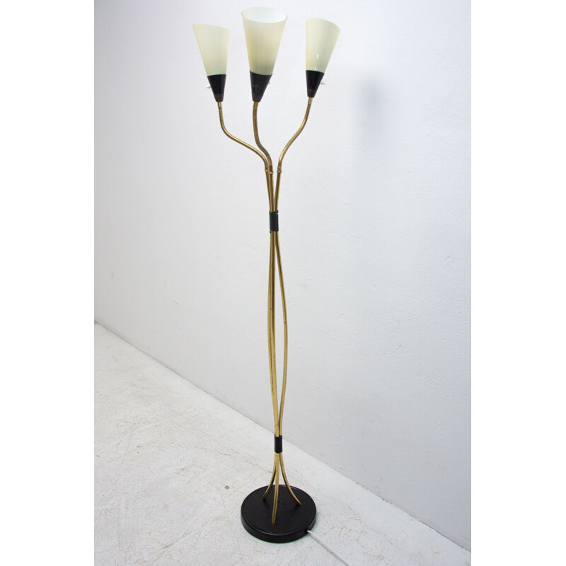 Vintage adjustable gooseneck floor lamp, 1960