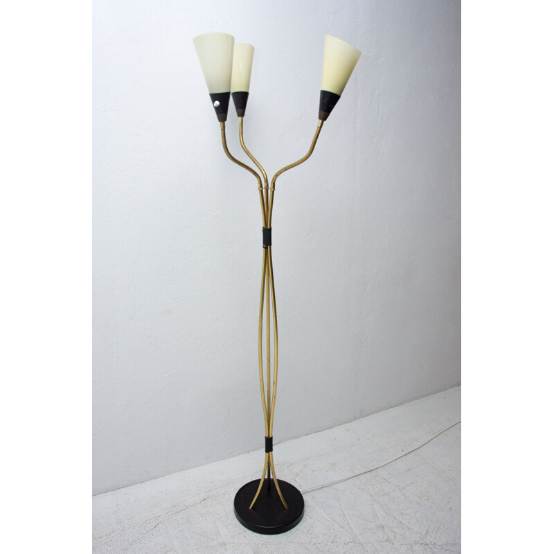 Vintage adjustable gooseneck floor lamp, 1960