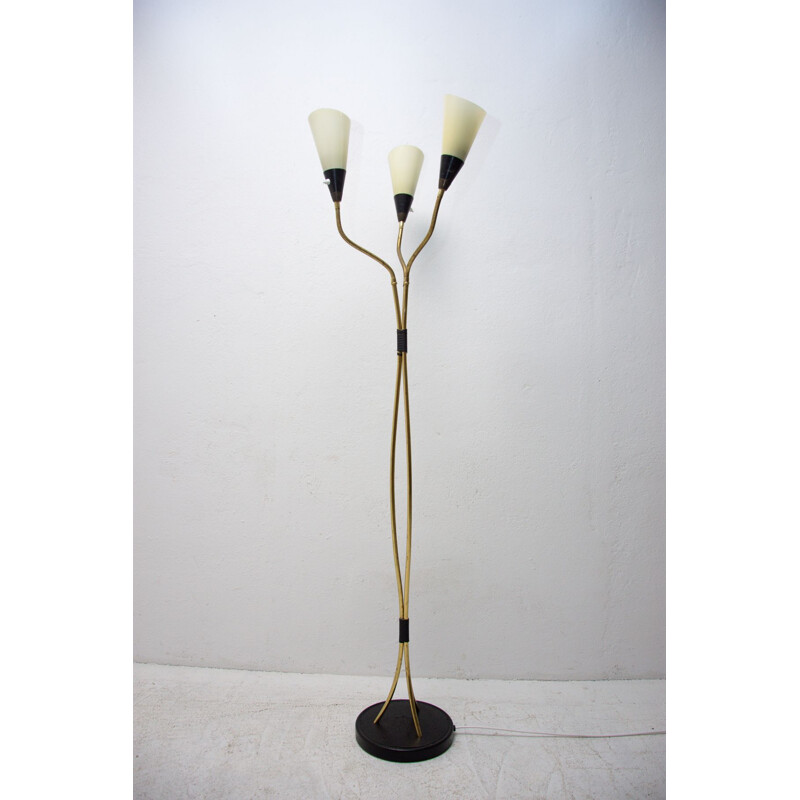 Lámpara de pie vintage de cuello de cisne regulable, 1960