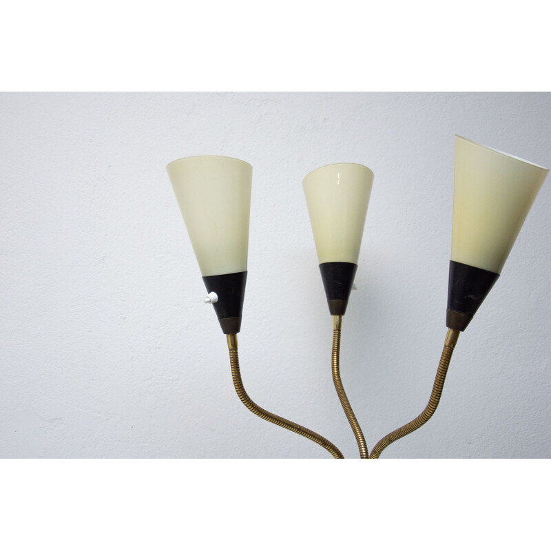 Vintage verstelbare zwanenhals vloerlamp, 1960