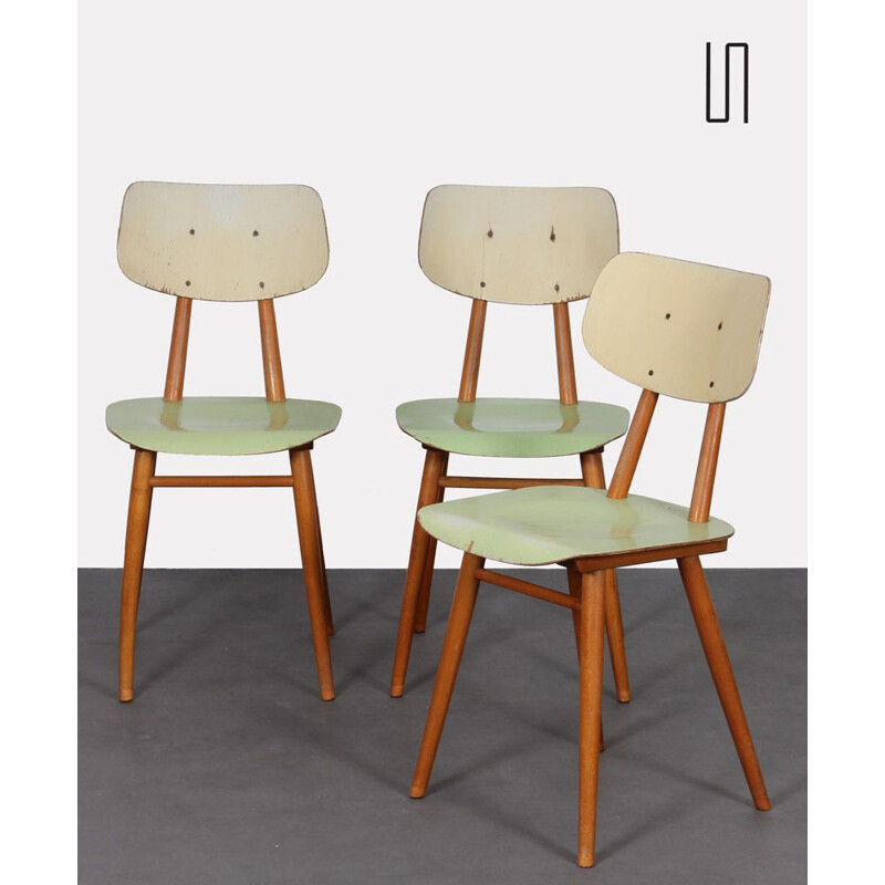 Ensemble de 3 chaises vintage en bois par Ton, République tchèque 1960