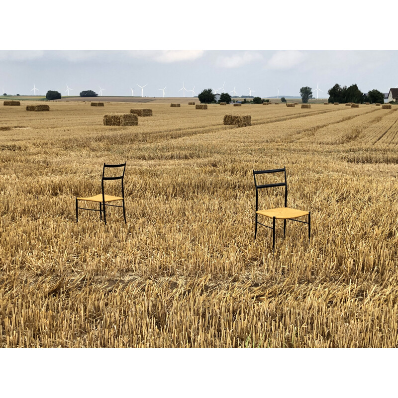 Pair of vintage chairs by Gio Ponti, 1960