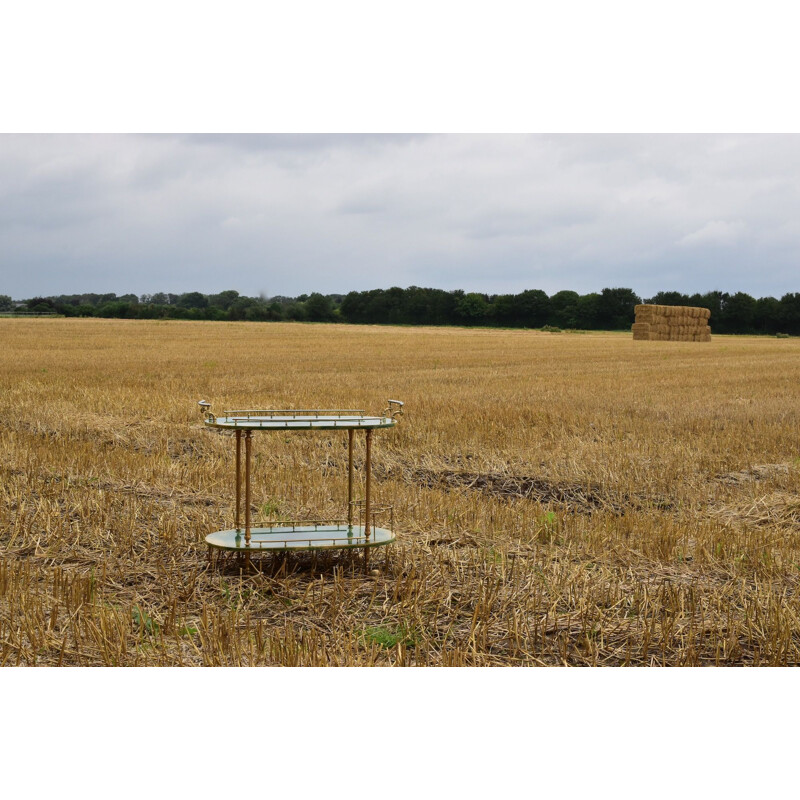 Vintage goatskin and gilt metal trolley by Aldo Tura, Italy